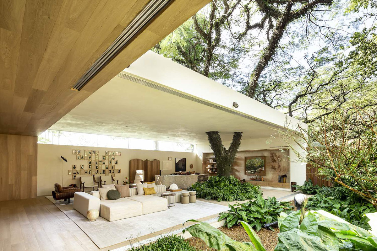Brillantes casas brasileñas centradas alrededor de árboles
